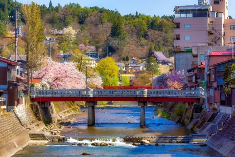 Nagoja: jednodniowa wycieczka do Hida Takayama i Shirakawa-go - światowego dziedzictwa kulturowegoWycieczka z lunchem z wołowiną Hida
