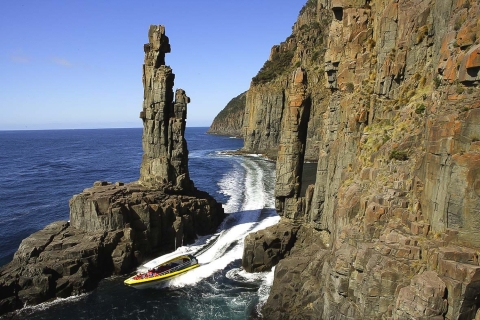 Excursión ecológica a la costa desierta de Bruny Island desde Hobart