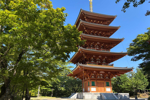 Osaka/Kyoto: Amanohashidate, Ine Bay & Nariaiji Temple Tour From Osaka Meeting Point