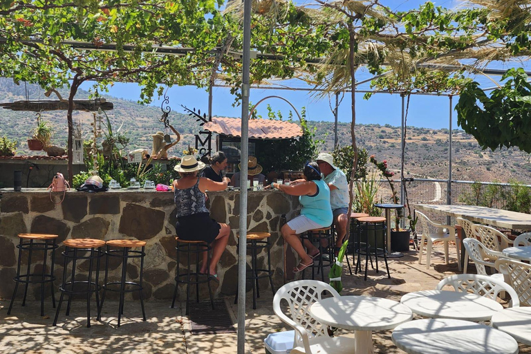 Myths, Waves & Wine: Cyprus in a Day
