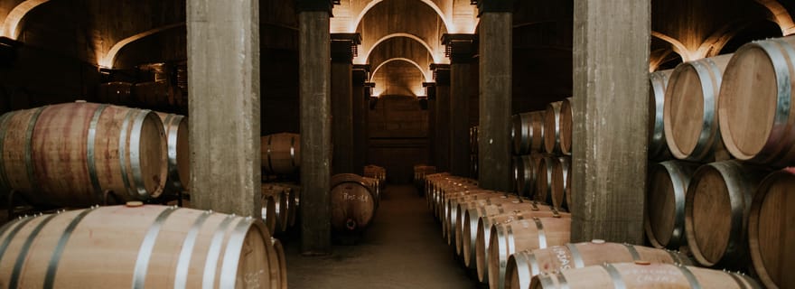 Logroño : Visite guidée avec dégustation de 3 vins et apéritif à la Viña Ijalba.