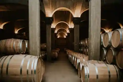 Logroño: Guided visit with tasting of 3 wines and aperitif at Viña Ijalba.