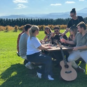 Wine Tour with Gin, Beer, Cider, Chocolate to the Yarra Valley