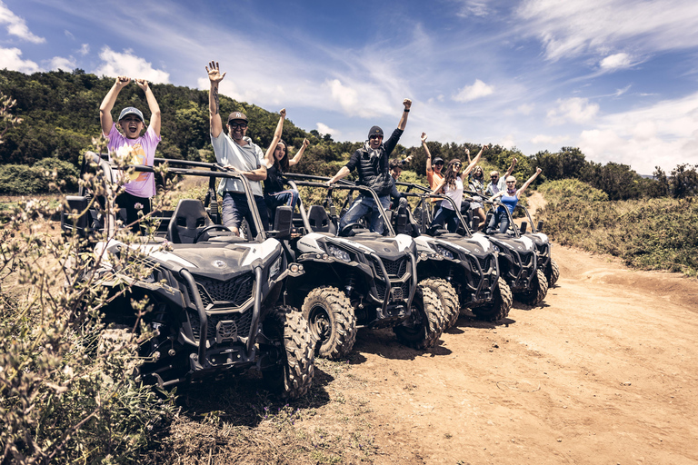 Tenerife: Guided Buggy Discovery Tour around Mount Teide