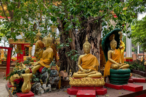 Bangkok : Excursion d&#039;une journée à Ayutthaya avec visite privée à bord d&#039;une longue queue