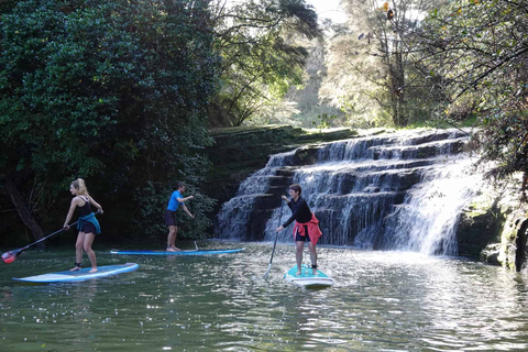 Lucas Creek Wasserfall SuP Tour