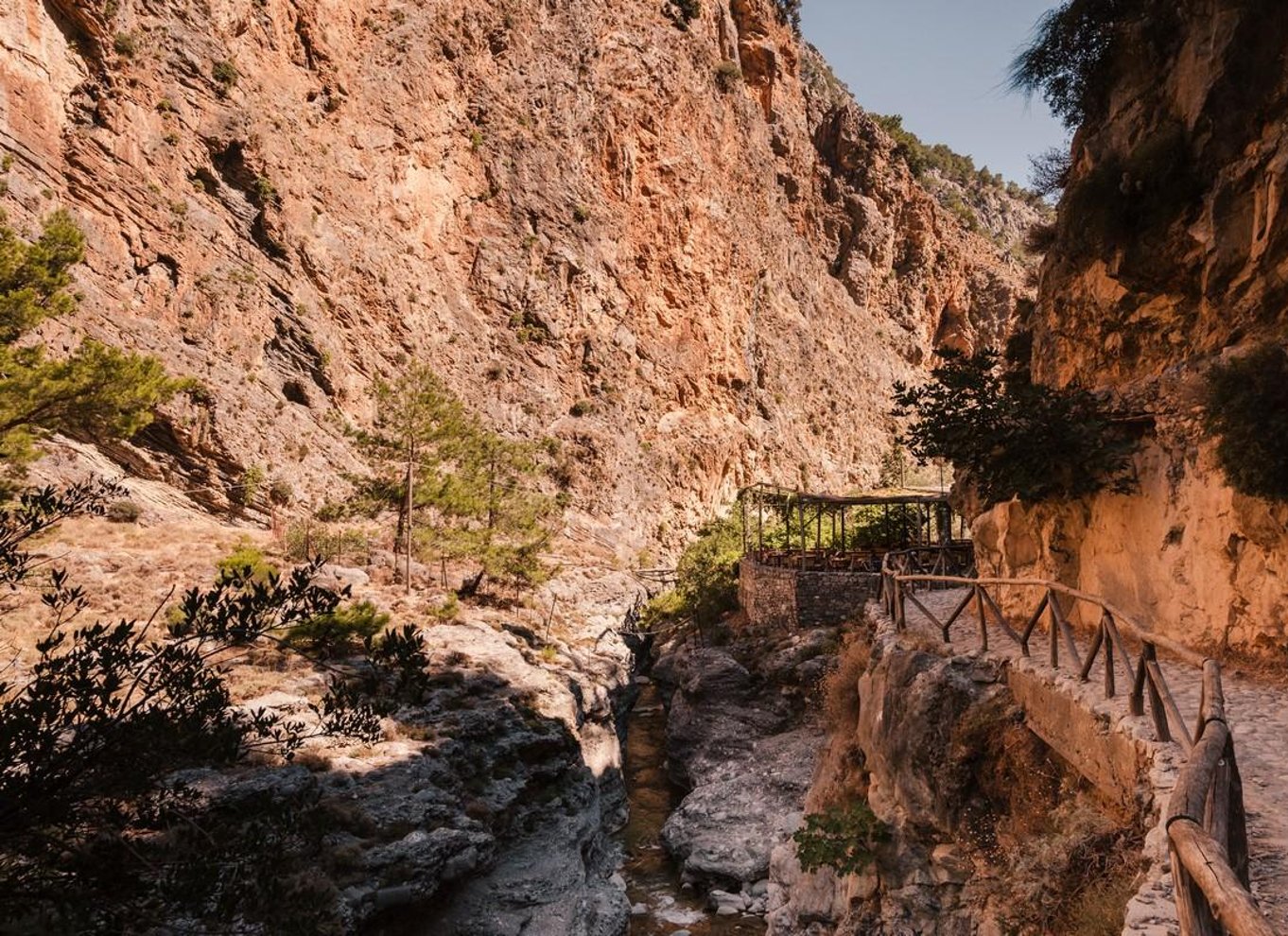 Fra Chania: Heldagsudflugt i Samaria-kløften med guide