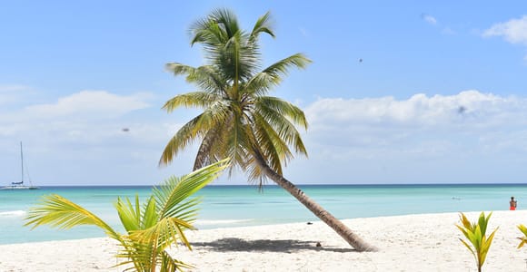 Punta Cana: Saona Island Caribbean Coast Cruise & Open bar