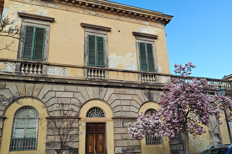 Florence: Tuscany 1-Day Flexible Sightseeing Bus Tour