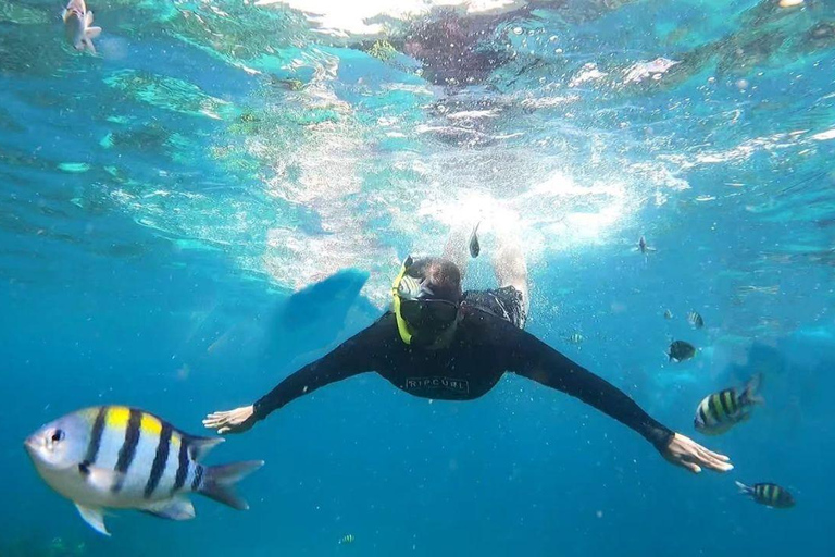 Phuket: Phi Phi Islands and Khai Island Day Trip with Pickup Phuket : Phi Phi Islands Maya Bay and Khai Island