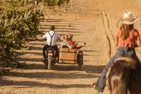 The BEST Paso Robles For adults 2025 FREE Cancellation