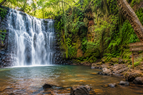 Nairobi: Karura Forest Day Trip with Guide and Entry Fees