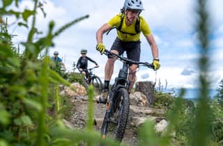 Von Dublin: E-Biken durch Wald & Berge