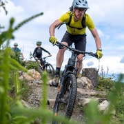 From Dublin: E-Biking Through Forest & Mountains