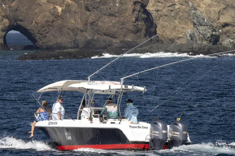 Half day inshore fishing experience