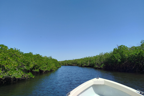 Saloum Delta: 3 days of adventure in the middle of nature, camping on a desert island Saloum Delta: Camping and Adventure