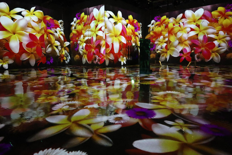Pattaya: PADO Media Art Interactive Exhibit Entry Ticket