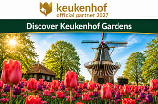 Amsterdam: Eintritt zum Keukenhof & Shuttlebus mit flexibler Rückfahrt
