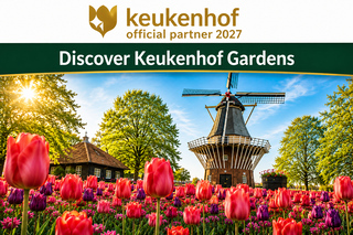Amsterdam: ingresso al Keukenhof e bus navetta con ritorno flessibile