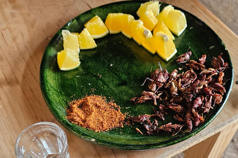 Breakfast in Tlacolula; Ancestral and industrial mezcal distillery