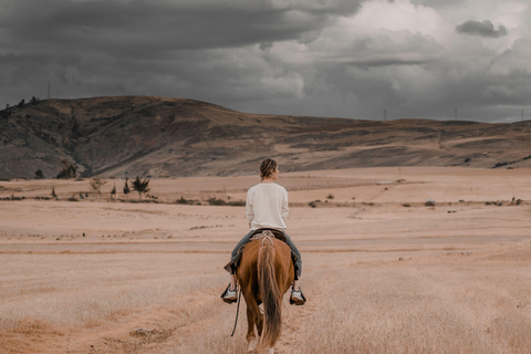 Pembrokeshire: Horseback Riding Through Forest & Hills 1-Hour Horseback Riding Through Forest & Hills