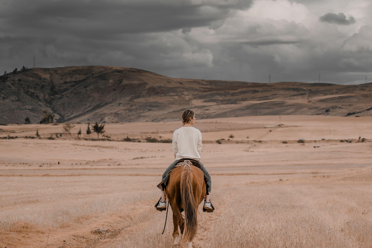 Pembrokeshire: Horseback Riding Through Forest & Hills 1-Hour Horseback Riding Through Forest & Hills