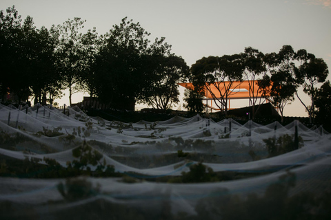 Moorilla's Big Day Out at Mona - Wine Tasting and Lunch