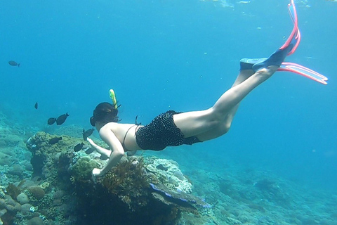 Nusa Penida: Tour in barca per lo snorkeling con le mante