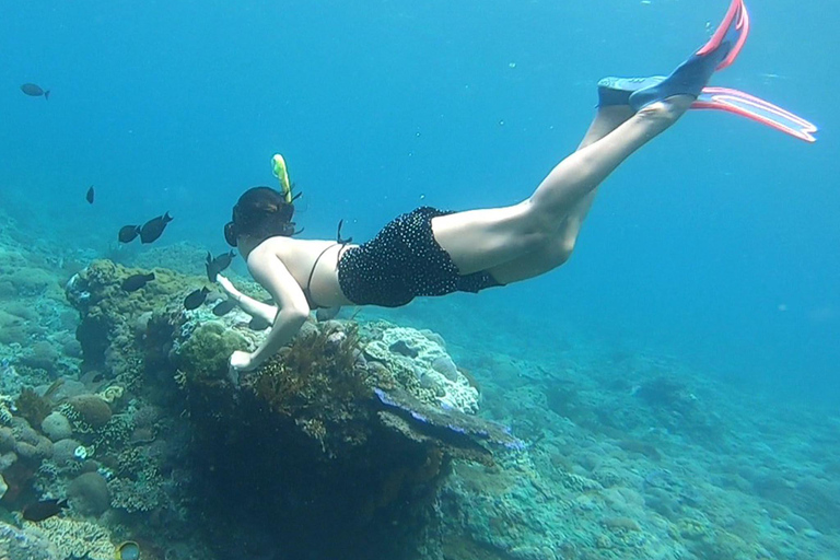 Nusa Penida: Snorkling båttur med Manta Rays