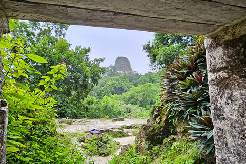 Tikal From Guatemala
