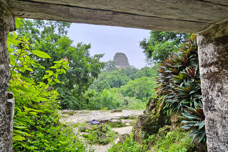 Tikal From Guatemala