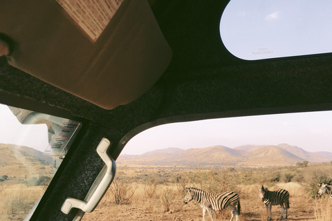 Tanzania: 2-Day Luxury Safari to Tarangire and Ngorongoro Tanzania safari