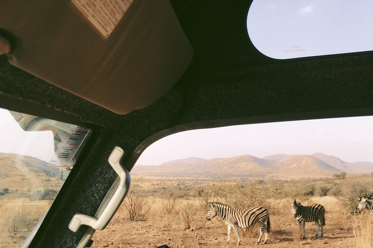 Tanzania: 2-Day Luxury Safari to Tarangire and Ngorongoro Tanzania safari