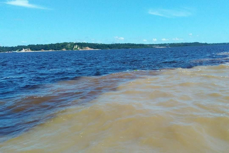 Manaus: Rio Negro and Solimões Tour Manaus: Rio Negro and Solimões River Tour