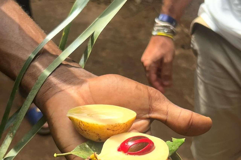 Spice Farm, Stone Town, Prison & Nakupenda+pick up+entry fee
