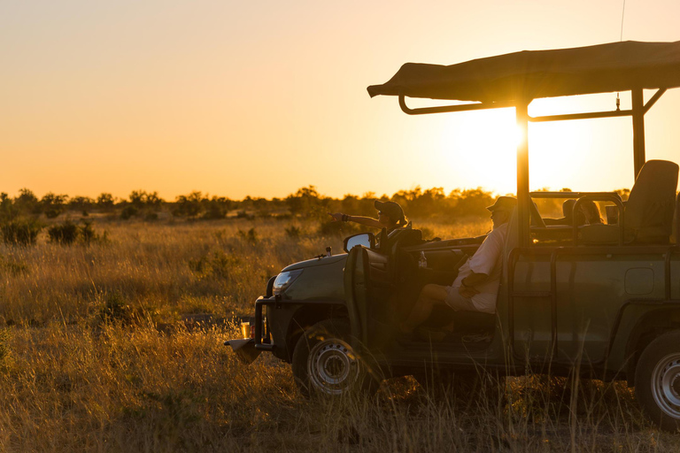 From Victoria Falls: Hwange Overnight Camping Safari
