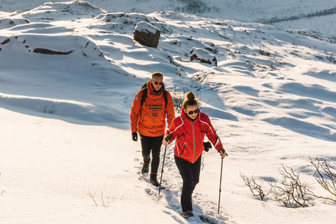 From Tromsø: Snowshoeing Hike with Picnic Lunch and Photos