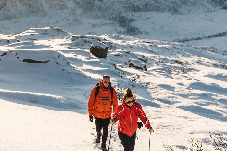 From Tromsø: Snowshoeing Hike with Picnic Lunch and Photos