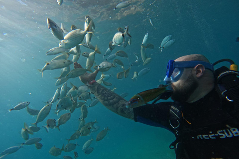 Antalya & Kemer: 2 Dives Scuba Diving Tour with Lunch Tour with transfer from Antalya