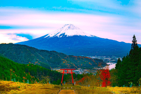 Visite guidée privée du Mont Fuji et de Hakone