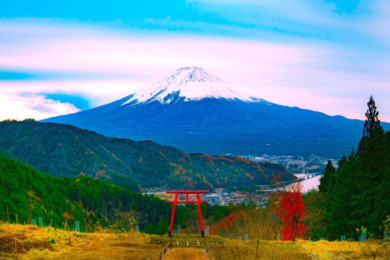 Privérondleiding op de berg Fuji en Hakone