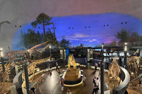 Fukui: Dinosaur Museum Ticket & Digital Family Guide