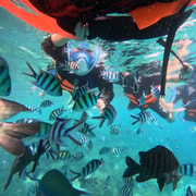 Koh Chang: Complete Island Tour with Lunch, BBQ & Snorkeling Koh Chang: Complete Island Tour with Lunch, BBQ & Snorkeling
