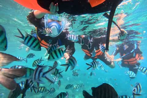 Koh Chang: Complete Island Tour with Lunch, BBQ & Snorkeling - Image 3