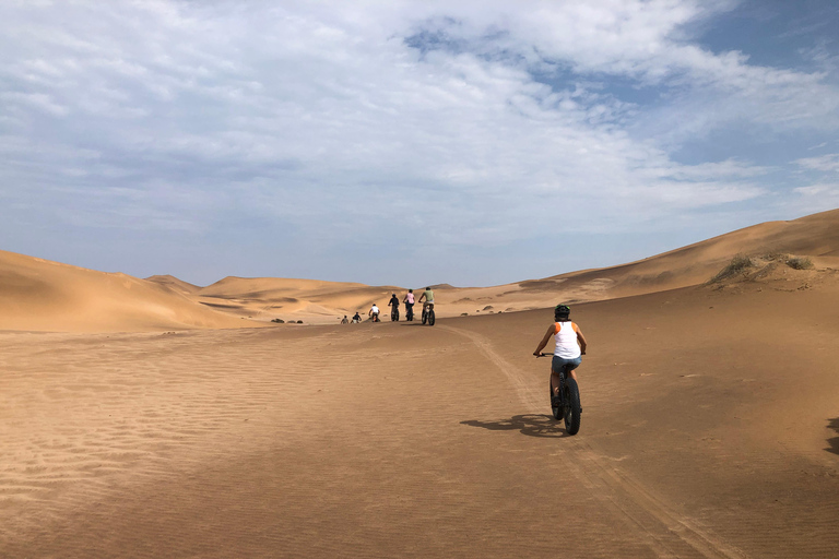 Swakopmund: "UP CLOSE" Living Desert E-FatBike Tour UP CLOSE Living Desert E-bike Tour