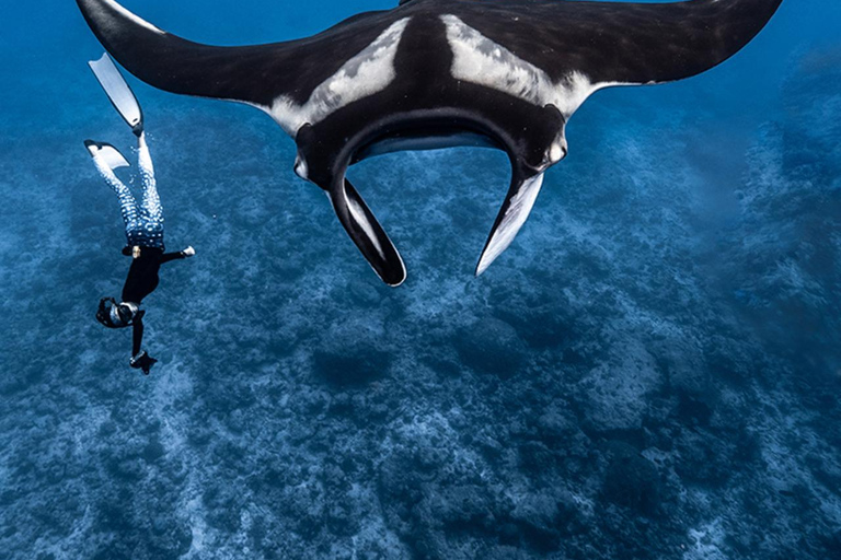 Z Bali: Snorkeling w Manta Point Nusa Penida i wycieczka lądowaSnorkeling i wycieczka po zachodnim lądzie (miejsce zbiórki - port Sanur)