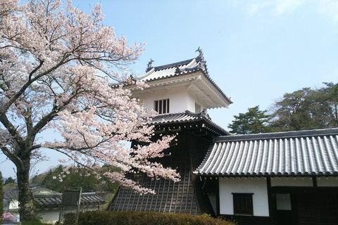 Vanuit Nagoya: Ontdek het landelijke Japan in de Kiso Vallei en Magome