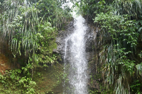 St. Lucia: Marigot Bay and Banana Plantation Tour
