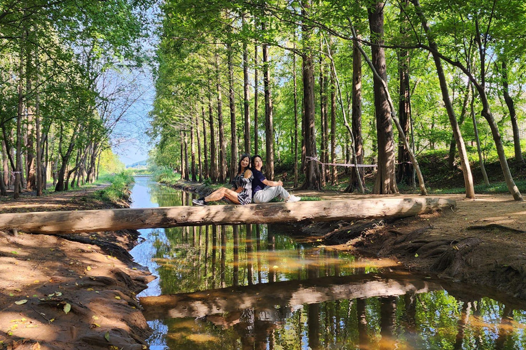 Gyeongju Tour Privado : Descubre la Belleza EternaGyeongju Tour privado de 4 horas