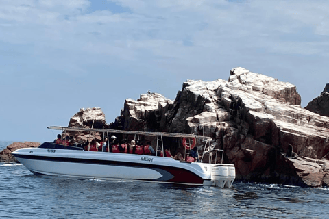 Paracas: Ballestas Islands Morning Boat Tour